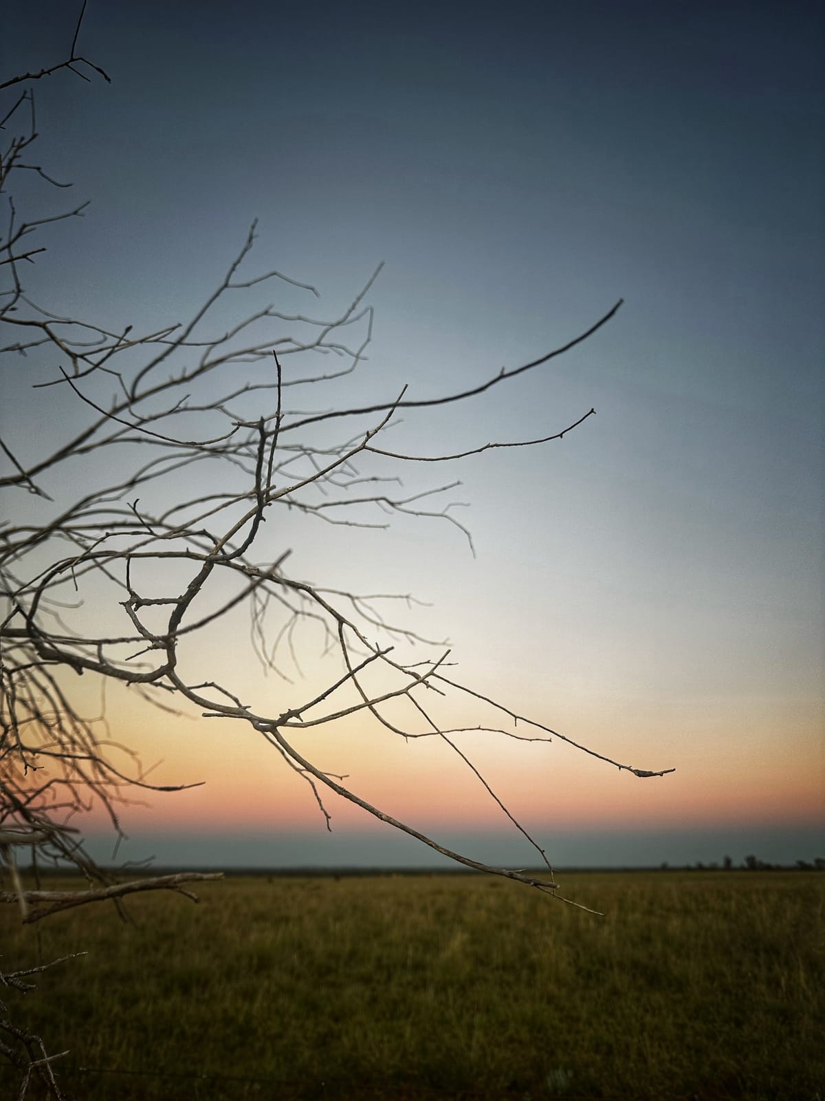Silence is not always the absence of noise - it is the ability to be present with what lies beneath it.