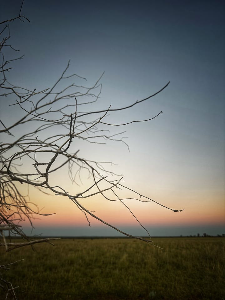 Silence is not always the absence of noise - it is the ability to be present with what lies beneath it.
